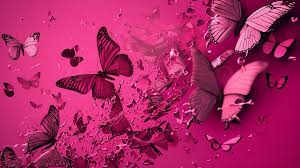 Cultural Perspectives on Pink Butterflies