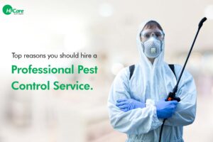 Professional Pest Control