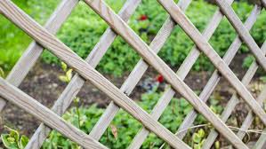 Trellis Netting for Cutting Flowers and Vines